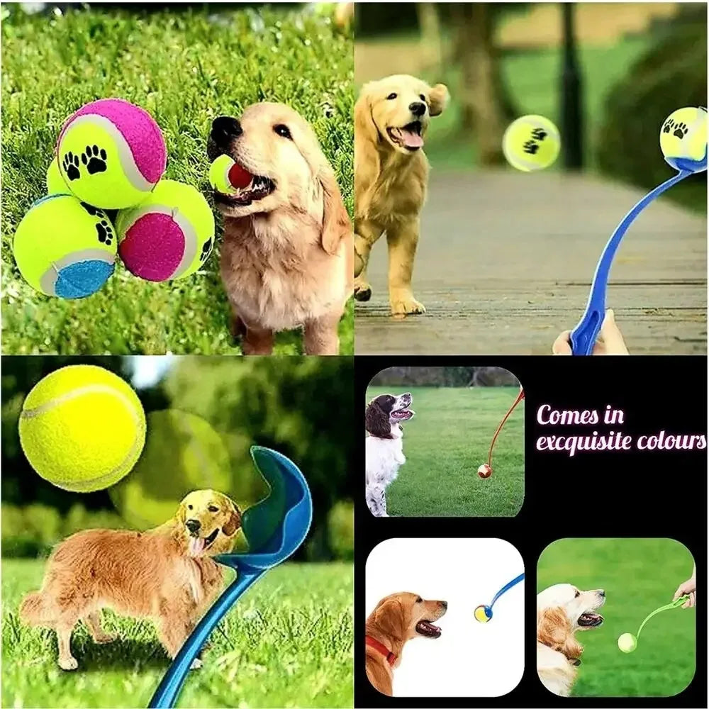 Professional Pet Throwing Stick and Tennis Ball Launcher for Outdoor Dog Training and Activities
