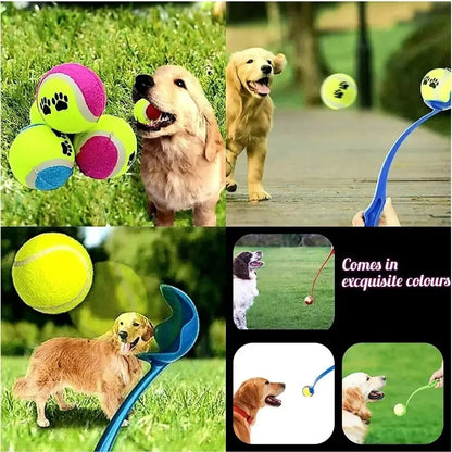 Professional Pet Throwing Stick and Tennis Ball Launcher for Outdoor Dog Training and Activities