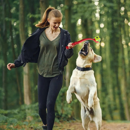 Professional Pet Throwing Stick and Tennis Ball Launcher for Outdoor Dog Training and Activities